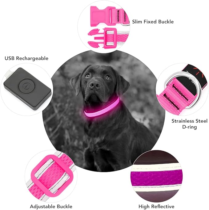YFbrite Light up Dog Collar, USB Rechargeable LED Puppy Collar Super Bright Adjustable Glowing Dog Lights for Night Walking (Pink, Medium)