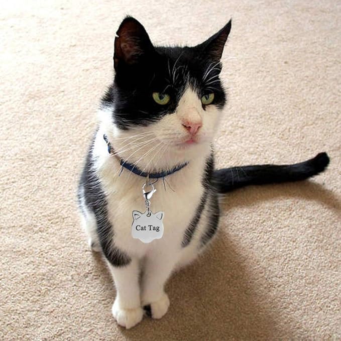 IVIA Dog Tag Clips / 316 Stainless Steel Lobster Buckle with Rings for Cat& Dog Collars and Necklace(2 Pack Silver)