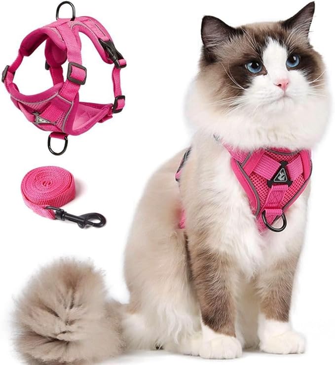 Cat Harness and Leash Set, Upgraded Escape Proof Adjustable Kitten Vest with Lead for Small Cat Outdoor Walking, Soft Breathable Mesh Jacket with Reflective Strips for Dark Night, S, Pink