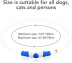 Colaseeme LED Dog Collar Light Up Dog Collars 1 Count USB Rechargeable TPU Glow Safety Basic Dog Collars for Large Medium Small Dogs (Purple)