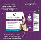 Visbiome® Vet Advanced GI Care High Potency Probiotic for Dogs & Cats – 225B CFU, 8-Strain Formula – Refrigerated, Veterinarian Recommended, Clean Label Certified – 60 Packets
