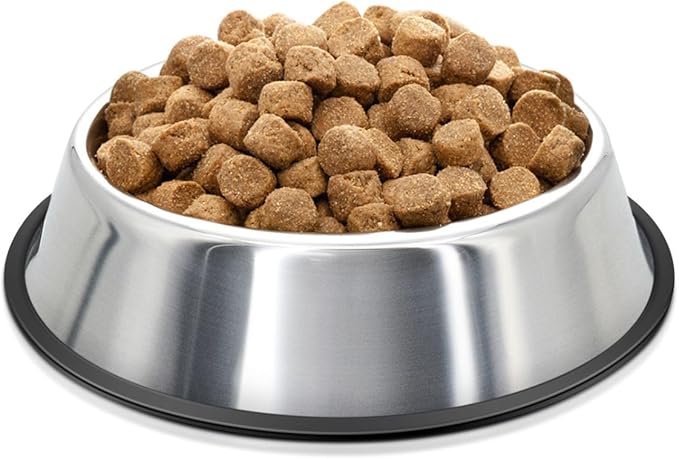 Flexzion Stainless Steel Dog Bowl No Mess Non Spill Dog Water Bowl Rubber Base Dog Bowls for Medium Sized Dog, Food and Water Dish, Pet Food Holder, 22 cm