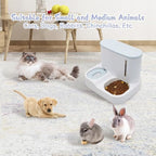 Kathson 2 in 1 Auto Cat Feeder and Waterer, Gravity Pet Feeder for Dry Food, Indoor/Outdoor Cats (Green)