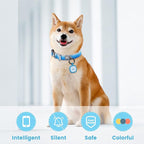 Pawaii QR Code Dog ID Tag, Silent Silicone Tag, Modifiable Pet Online Profile, Free Emergency Contact, Scan QR for Instant Pet Location Alert Email, 1Pack (Sky Blue)