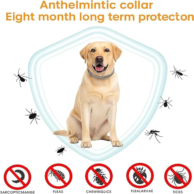 Large and Small Dog Flea Collar Vet-Recommended Dog Flea&Tick Treatment Prevention Collar for Dogs Under 18 lbs. | As Long as 8 Months Protection