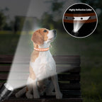 PaiPaitek Shock Collar Replacement Strap for Most of Training Collar, 3/4 Inch Dog Collar Replacement for Wireless Fence and Bark, Adjustable Reflective TPU Collar Strap - 2 Pack