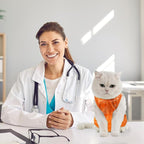 Avont Cat Recovery Suit - Kitten Onesie for Cats After Surgery, Cone of Shame Alternative Surgical Spay Suit for Female Cat, Post-Surgery or Skin Diseases Protection -Tie-dye Orange(M)