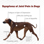 TS Joint Supplement Vet Formulated Pain & Inflammation Relief Treats Hip Dysplasia & Arthritis.Glucosamine, Chondroitin, Turmeric, MSM, HA, Creatine, Omega 3 EPA+DHA. All Dogs 240 Soft Chews
