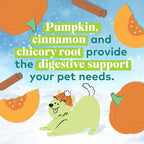 Honest to Goodness Plant Snacks Limited Edition Holiday Pumpkin Spice Dog Treats, 4oz