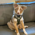 AUROTH Tactical Dog Harness for Large Dogs No Pull Adjustable Pet Harness Reflective K9 Working Training Easy Control Pet Vest Military Service Dog Harnesses