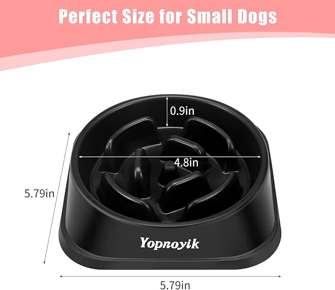 Slow Feeder Dog Bowls 2PCS, Anti-Choking Puzzle for Small Breeds