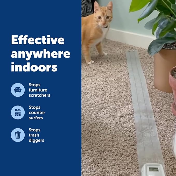 PetSafe ScatMat Indoor Training Mat