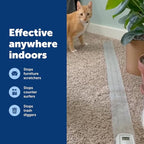 PetSafe ScatMat Indoor Training Mat