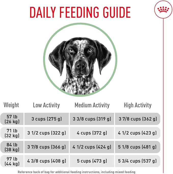 Royal Canin Large Digestive Care Dry Dog Food, 30 lb bag