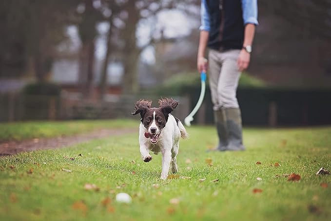 Chuckit! Glow in the Dark Bouncy Balls - Ball for Dogs, Chuckit Dog Toy, Max Glow Balls - Medium, 2.5 Inch, Pack of 4