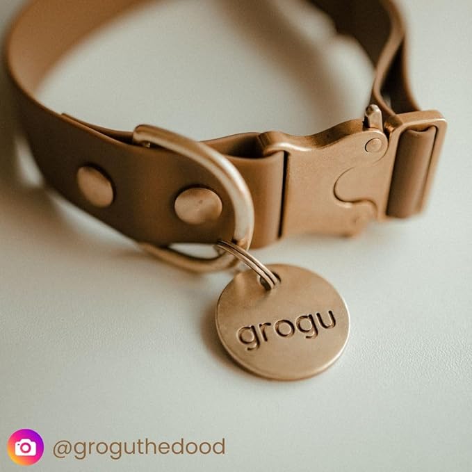 Solid Brass PET TAG - Modern, Minimal Pet IDs. Durable, Lifetime Tags with deep Cut Text. Includes Space for Two Phone Numbers. (Long)