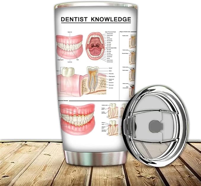Dental Anatomy Tumbler Mug Dentist Knowledge Travel Mug, 20oz Stainless Steel Tooth Anatomy Coffee Mug Medical Teeth Tumbler 1 Doctor Nurse School Vacuum Insulated Travel Tumbler with Straw Lids