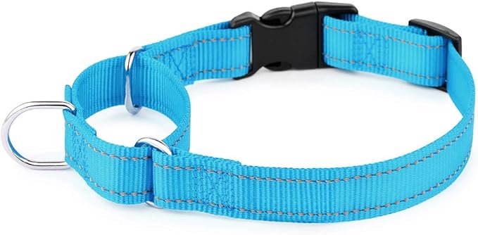 PLUTUS PET Reflective Martingale Collar with Quick Snap Buckle,No Pull Dog Choker Collar for Small Medium Large Dogs,L,Blue