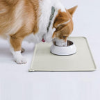 AUDWUD Silicone Waterproof Pet Feeding Mats,Anti Slip Bowl Pad, Dog Mat for Food and Water