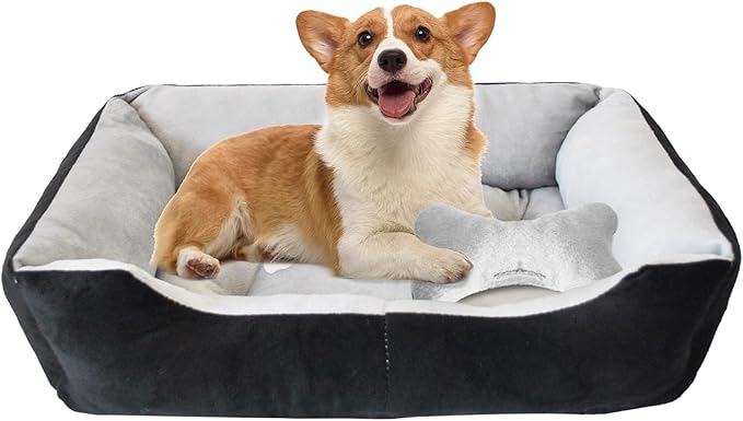 Dog Beds for Small Dogs,Rectangle Cat Beds for Indoor Cats,20"x15"x6" Washable Pet Bed with Side and Anti-Slip Bottom for Medium Dog,Kitten(Black)
