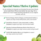 Ultimate Pet Nutrition Nutra Thrive Canine, 40-in-1 Nutritional Powder Supplement for Dogs with Digestion and Immune Support, Vitamins, Minerals, Probiotics, Enzymes, 30 Scoops