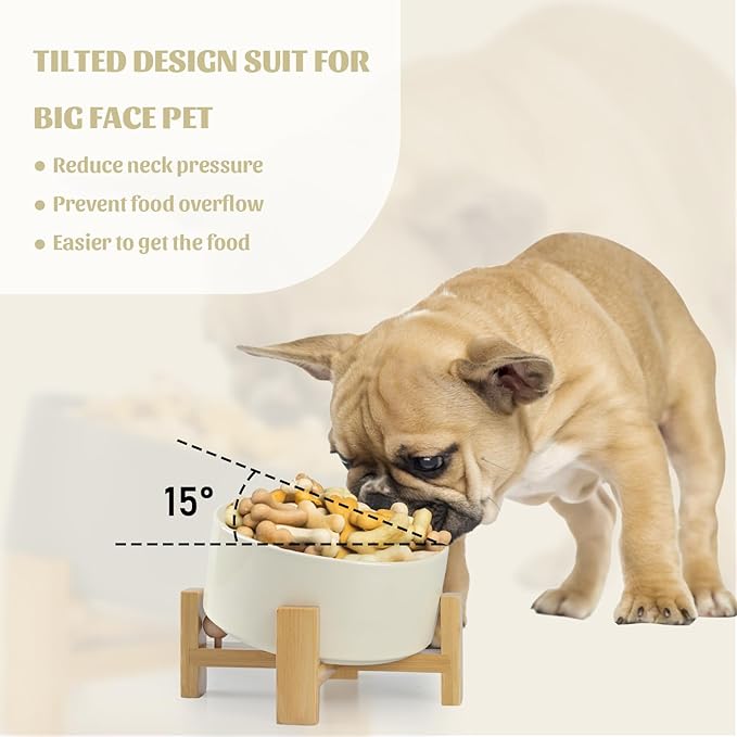 SPUNKYJUNKY 15° Slanted Ceramic Dog and Cat Bowl with Wooden Stand, Tilted Bulldog Food and Water Bowl No Slip Non-Spill for Cats Medium Dogs Big Face Pets 28.7 OZ (3.6 Cups, Beige)