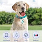Dog Tags Personalized,QR Code Smart Pet ID Name Tag,Instant Location Alerts,Easy Online Profile Updates,No Fees,No Apps,Anti-Lost,Waterproof Silicone Dog Cat Tag for Small,Medium,Large Dogs(Blue)