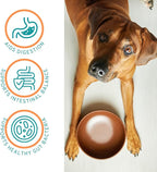 Approx 120 Servings of Dog Probiotic Powder - Probiotics and Digestive Enzymes Supplement and Dog Digestive Support - Made in The USA