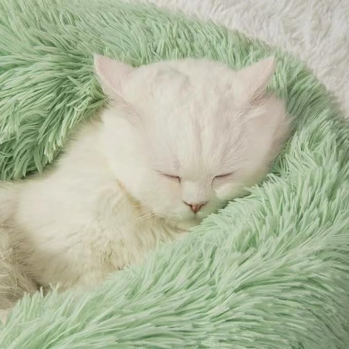 Cat Beds for Indoor Cats - Cat Bed Washable 24 inches, Dog Beds for Small Medium Dogs, Anti Anxiety Round Fluffy Plush Faux Fur Cat Bed, Thick Bottom (Green, Large)