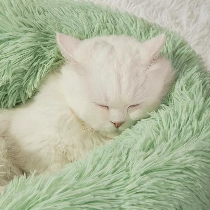 Cat Beds for Indoor Cats - Cat Bed Washable 20/24 inches, Dog Beds for Small Medium Dogs, Anti Anxiety Round Fluffy Plush Faux Fur Cat Bed, Thick Bottom (Green, Medium)