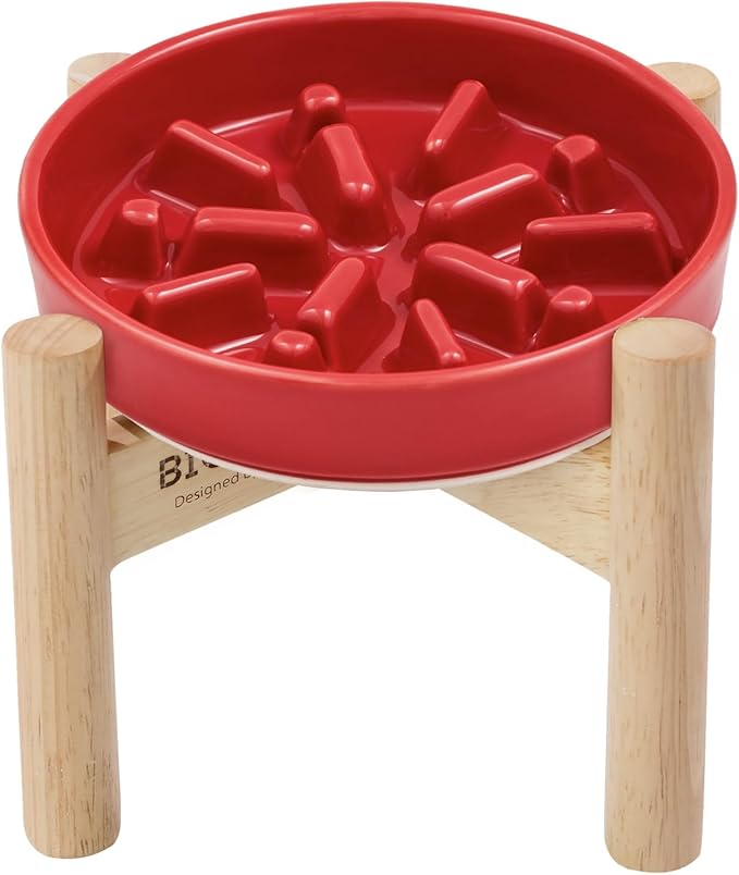 Ceramic Maze Dog Slow Feeder with Non-Slip Silicone Rim (& Bamboo Stand) – Heavy-Duty Stoneware Bowl with Puzzle Pattern for Bloating & Obesity Prevention (Raised-Red-M)