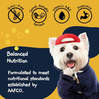 MOOCHIE Grain Free Small Dogs Wet Dog Food - Digestive Care - Real Chicken, Beef & Vegetable - No Artificial Flavors or Preservative - 12 x 3 oz Pouch