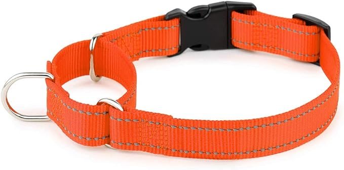 PLUTUS PET Reflective Martingale Collar with Quick Snap Buckle,No Pull Dog Choker Collar for Small Medium Large Dogs,XS,Orange