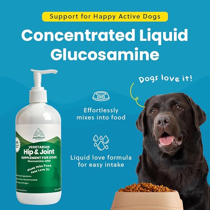 Plant-Based Liquid Glucosamine for Dogs, 1600mg Joint Support with Chondroitin, MSM & Omega 3-6-9, Shellfish-Free Dog Arthritis Supplement for Mobility & Flexibility, Made in USA, 16 oz
