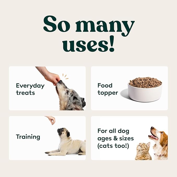 Little Hunter Freeze Dried Dog Treats - Beef Liver - Raw Single Ingredient Beef Liver Dog Treats for Snacks, Training, Dog Food Toppers - All Natural, Healthy Dog & Puppy Treats, 2 oz