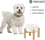 Ceramic Raised Dog and Cat Bowl Set, 2 Heights Elevated Stand, Food and Water Bowl for Small Breed Dogs, Weighted Dog Dishes, Pet Bowl(6.1'',28.7oz, White)