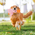 Quack-Quack Duck Dog Toy,Durable Plush Chew Toy with Sounds,Stuffed Plush Calming Duck Dog Toy for Indoor Puppies and Senior Pups (Yellow, Large)