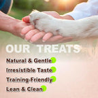 Afreschi Natural Turkey Treats Mini Bars – 6 oz, USA-Sourced Trukey, All-Natural, Hypoallergenic, Low-Fat, Healthy & Easily Digestible, Puppy & Training Snack