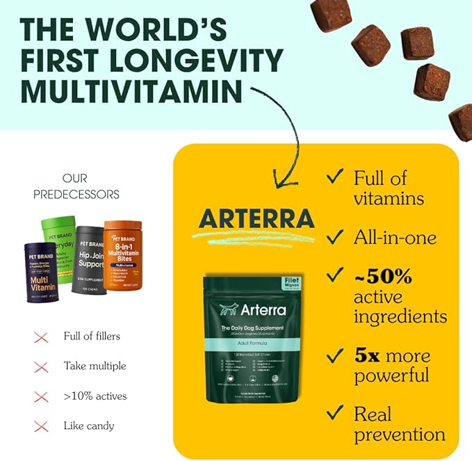 Arterra Longevity Multivitamin for Dogs – 50% Active Ingredients – Vet-Formulated Daily Soft Chews for Gut, Brain, Joint & Immune Health – Human-Grade Supplement | 120 Count