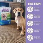 Health Extension Little Bites Dry Dog Food for Small Breeds, Chicken & Brown Rice Recipe, with Probiotics & Superfoods for Digestion & Coat Health, 4 lb Bag (Pack of 2)