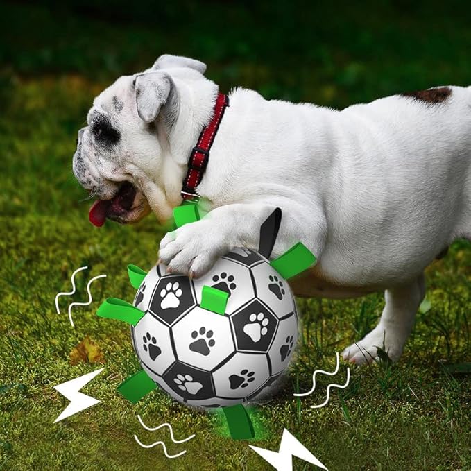 QDAN Dog Soccer Balls Toy with Bell Inside, Outdoor Interactive Dog Toys, Durable Ropes Squeaky Ball for Medium Large Dogs (8 Inch)