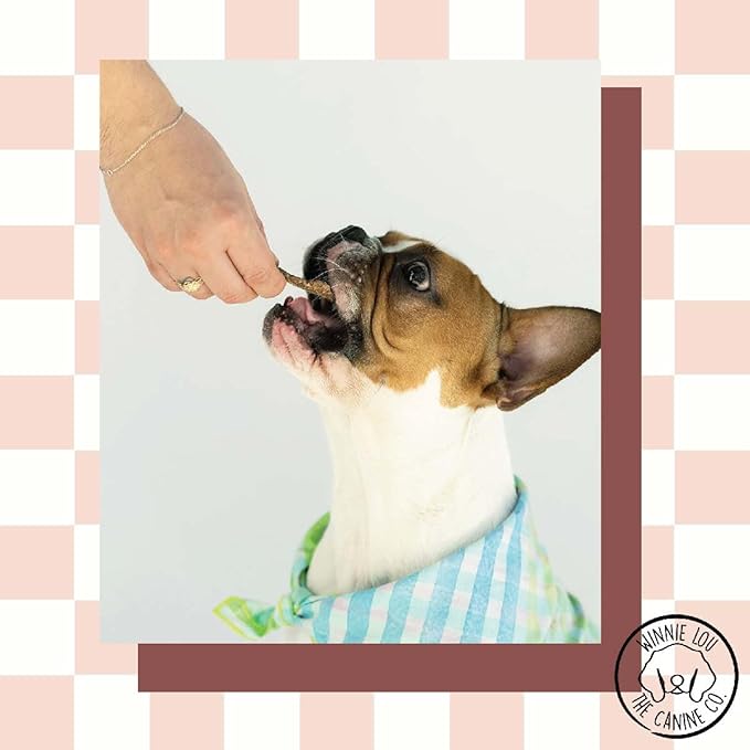 Winnie Lou Wild Boar Jerky Dog Treats – Limited Ingredient, Human Grade, Training Treats for Small, Medium & Large Dogs, Made in USA (1 Pack)