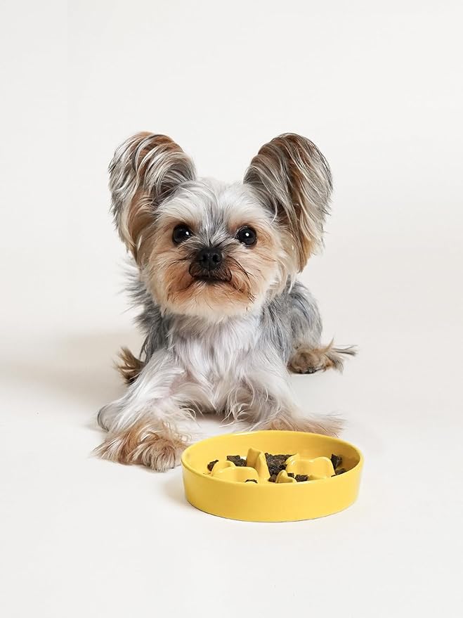 Ceramic Slow Feeder Dog Bowls Small Breed, 0.5 Cups Dog Food Dish for Fast Eaters, Puzzle Bowl for Small Dogs and Cats, 5.5 Inch-Yellow