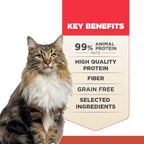 Sieger Katze Grain-Free Wet Cat Food (Pack of 12) High-Protein Hairball Food for Cats – Premium Pate for Urinary Health & Digestion