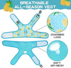 BINGPET Cat Harness - with Leash Included - Mesh Cat Dog Walking Harness Adjustable Harness for Kitties Puppy Harness Adjustable Cat Vest Harness Small Pineapple