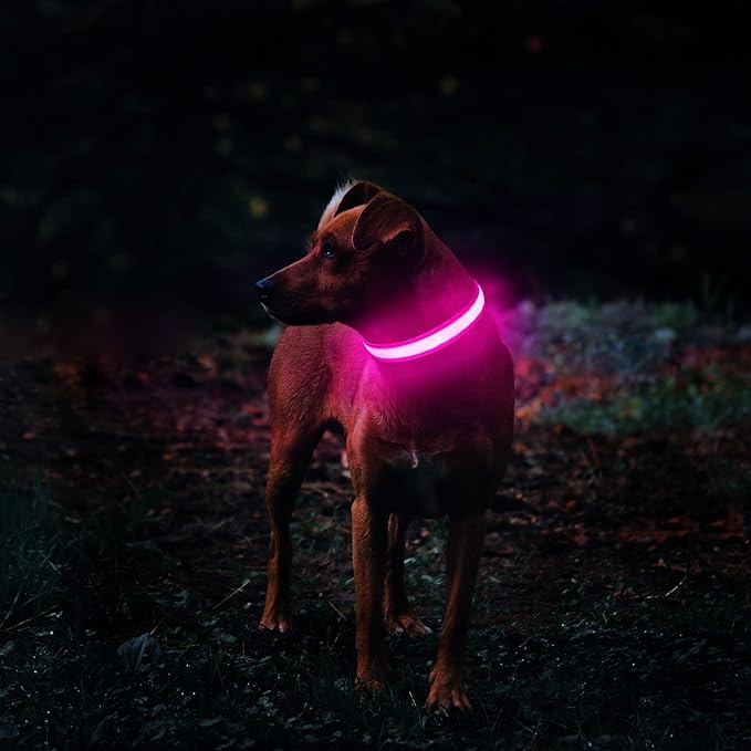 MASBRILL Light Up Dog Collar, LED Glow Collar with USB Rechargeable Lighted Bright Flashing Pink Dog Collar Waterproof for Small Medium Large Dogs, 4 Colors with 3 Sizes (S(0.98 * 15.75"), Pink)