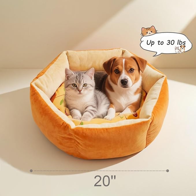 Cute Cat Beds Kitten Beds, Soft Small Dog Beds, Washable Pet Beds for Puppy and Kitty, Funny Pizza Shape, 20 Inch