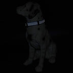 Mile High Life Dog Collar | Nylon Reflective Dog Collars | Light Weight Puppy Collars | Dark Blue Dog Collars for Medium Dogs (Dark Blue, Medium)