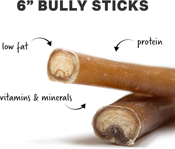 Downtown Pet Supply 6-inch Bully Sticks for Dogs, Pack of 100 - Single Ingredient, Nutrient-Rich and Odor Free Bully Sticks for Dogs - Rawhide Free Dog Chews Long Lasting and Non-Splintering