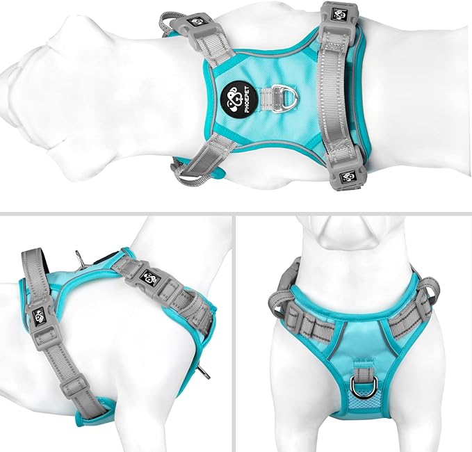 PHOEPET No Pull Dog Harness, Unique Colors Reflective Adjustable Dog Vest, with Soft Training Handle Metal Clips for Small Medium Large Dogs (Mint Green Base & Grey Straps,S)
